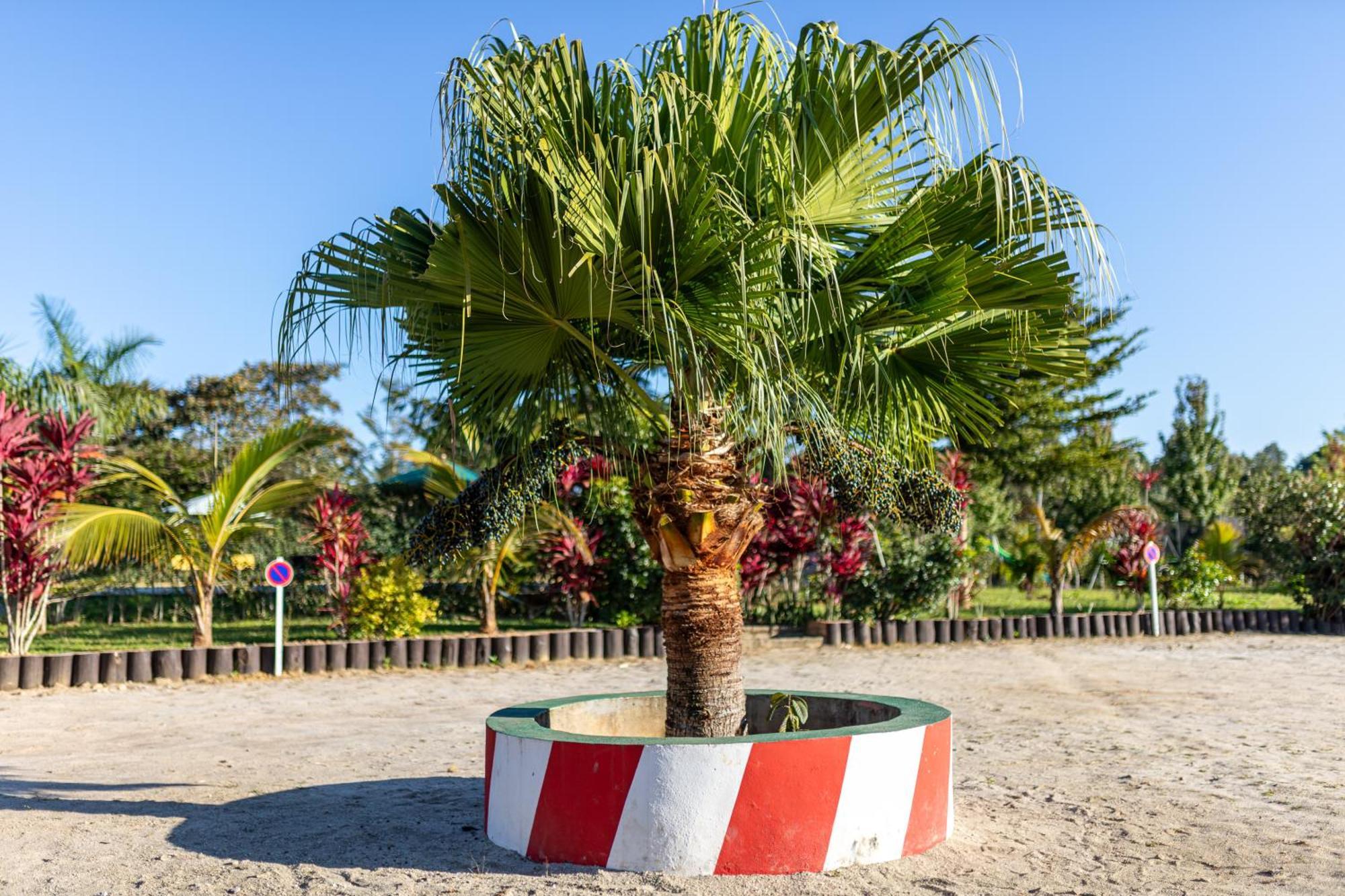 Andasibe Lemurs Lodge Buitenkant foto